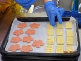 桜と点字のクッキーを並べる様子