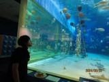 浅虫水族館